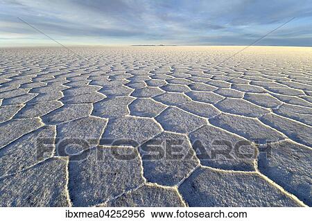 Wabenstruktur auf dem Salzsee Salar de Uyuni, Altiplano, Lipez, Bolivien, Sudamerika View Large Photo Image Stock Photograph - Wabenstruktur auf dem Salzsee Salar de Uyuni, Altiplano, Lipez, Bolivien, Sudamerika. Fotosearch