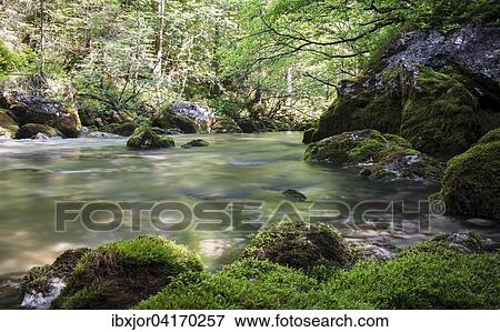 Waldbachstrub Waldbach im Echerntal, bei Hallstatt, Oberosterreich, Osterreich, Europa View Large Photo Image Stock Photo - Waldbachstrub Waldbach im Echerntal, bei Hallstatt, Oberosterreich, Osterreich, Europa. Fotosearch