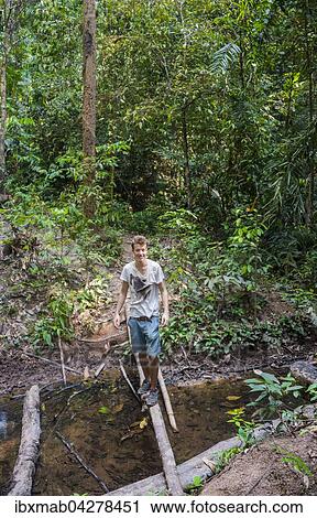 Stock Image - Wanderer, Junger Mann balanciert uber einen Baumstamm im Dschungel, Kuala Tahan, Nationalpark Taman Negara, Malaysia, Asien. Fotosearch