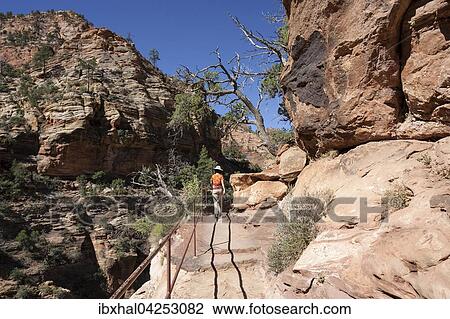 Wanderin am Canyon Overlook Trail, Zion Nationalpark, Utah, USA, Nordamerika View Large Photo Image Stock Image - Wanderin am Canyon Overlook Trail, Zion Nationalpark, Utah, USA, Nordamerika. Fotosearch