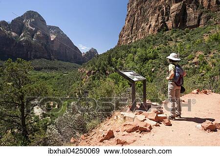 Wanderin steht an einer Info-Tafel mit Ausblick in den Zion Canyon, Emerald Pools Trail, Zion Nationalpark, Utah, USA, Nordamerika View Large Photo Image Stock Photo - Wanderin steht an einer Info-Tafel mit Ausblick in den Zion Canyon, Emerald Pools Trail, Zion Nationalpark, Utah, USA, Nordamerika. Fotosearch