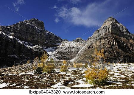 Stock Image - Wanderung von Moraine Lake zum Larch Valley, Eiffel Peak und Wastach Mountain ragen dahinter in den Himmel, Banff-Nationalpark, Alberta, Kanada, Nordamerika. Fotosearch