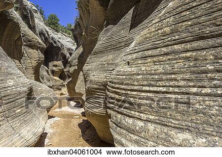 Wanderweg durch den Willis Creek Canyon, Kanab, Utah, USA, Nordamerika View Large Photo Image Picture - Wanderweg durch den Willis Creek Canyon, Kanab, Utah, USA, Nordamerika. Fotosearch