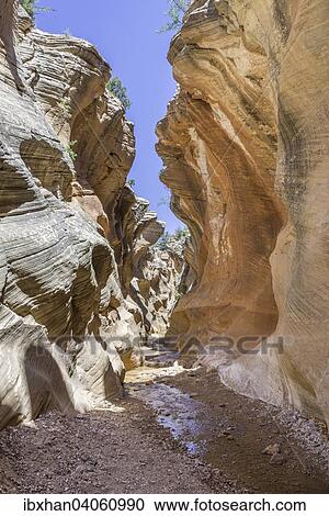Wanderweg durch den Willis Creek Canyon, Kanab, Utah, USA, Nordamerika View Large Photo Image Stock Image - Wanderweg durch den Willis Creek Canyon, Kanab, Utah, USA, Nordamerika. Fotosearch