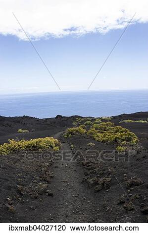 Stock Image - Wanderweg durch Lavalandschaft, Monumento Natural de Los Volcanes de Teneguia Park, Sudkap Punta de Fuencaliente, La Palma, Kanarische Inseln, Spanien, Europa. Fotosearch