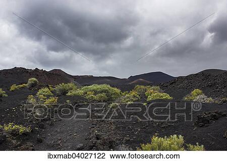 Stock Image - Wanderweg durch Lavalandschaft, Monumento Natural de Los Volcanes de Teneguia Park, Sudkap Punta de Fuencaliente, La Palma, Kanarische Inseln, Spanien, Europa. Fotosearch