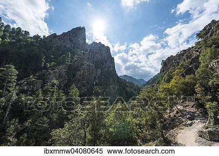 Wanderweg entlang des Tals und des Flussbettes des Tavignano, Corte, Departement Haute-Corse, Korsika, Frankreich, Europa View Large Photo Image Stock Photography - Wanderweg entlang des Tals und des Flussbettes des Tavignano, Corte, Departement Haute-Corse, Korsika, Frankreich, Europa. Fotosearch