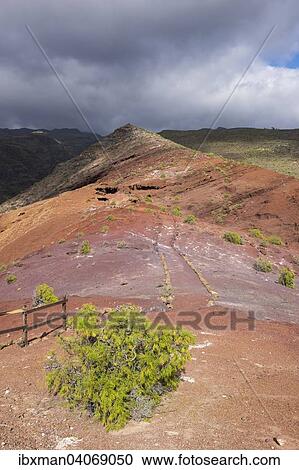 Wanderweg Sendero Quise, Alajero, La Gomera, Kanarische Inseln, Spanien, Europa View Large Photo Image Stock Image - Wanderweg Sendero Quise, Alajero, La Gomera, Kanarische Inseln, Spanien, Europa. Fotosearch