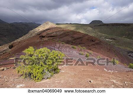 Wanderweg Sendero Quise, Alajero, La Gomera, Kanarische Inseln, Spanien, Europa View Large Photo Image Stock Photo - Wanderweg Sendero Quise, Alajero, La Gomera, Kanarische Inseln, Spanien, Europa. Fotosearch