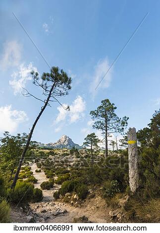 Stock Image - Wanderweg zum Piscia di Gallo, Berglandschaft mit Punta di u Diamante, l'Ospedale, Alta Rocca, Korsika, Frankreich, Europa. Fotosearch