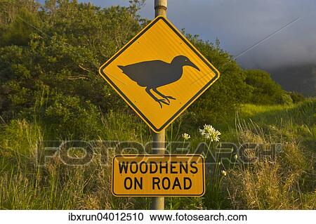 Stock Image - Warnschild Wekarallen queren Strasse, Lord Howe Island, New South Wales, Australien, Ozeanien. Fotosearch