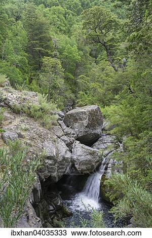 Wasserfall am Bach Estero Armenilo, Parque Tricahue, San Clemente, Region del Maule, Chile, Sudamerika View Large Photo Image Stock Image - Wasserfall am Bach Estero Armenilo, Parque Tricahue, San Clemente, Region del Maule, Chile, Sudamerika. Fotosearch