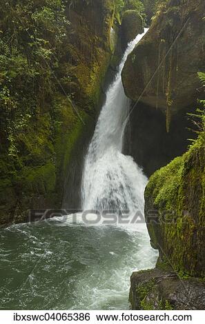 Wasserfall, Felsen, Rio Savegre, Nationalpark Los Quetzales, San Gerardo de Dota, Provinz San Jose, Costa Rica, Nordamerika View Large Photo Image Stock Photograph - Wasserfall, Felsen, Rio Savegre, Nationalpark Los Quetzales, San Gerardo de Dota, Provinz San Jose, Costa Rica, Nordamerika. Fotosearch