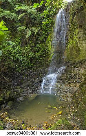 Stock Image - Wasserfall im Dschungel, Provinz Puntarenas, Costa Rica, Nordamerika. Fotosearch