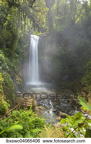 Stock Photograph - Wasserfall im Regenwald, Vara Blanca, Alajuela, Costa Rica, Nordamerika. Fotosearch