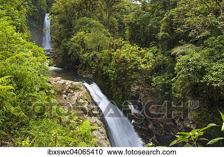 Stock Image - Wasserfalle im Regenwald, Vara Blanca, Alajuela, Costa Rica, Nordamerika. Fotosearch