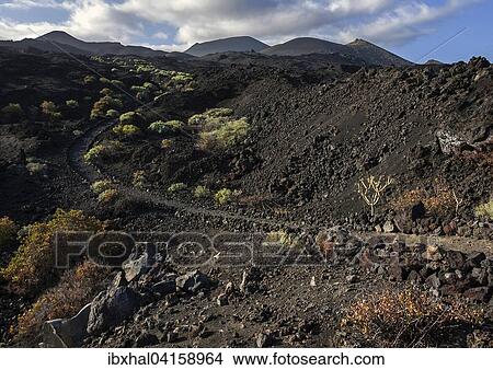 Picture - Weg durch die Vulkanlandschaft mit typischer Vegetation, hinten die Vulkane de Teneguia und de San Antonio, bei Fuencaliente, La Palma, Kanarische Inseln, Spanien, Europa. Fotosearch