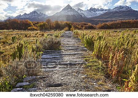 Weg durch Moorgebiet Feuerland, Nationalpark Tierra del Fuego, Argentinien, Sudamerika View Large Photo Image Stock Image - Weg durch Moorgebiet Feuerland, Nationalpark Tierra del Fuego, Argentinien, Sudamerika. Fotosearch