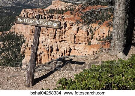 Wegweiser Bristlecone Pine Loop Trail, Bryce Canyon Nationalpark, Utah, USA, Nordamerika View Large Photo Image Picture - Wegweiser Bristlecone Pine Loop Trail, Bryce Canyon Nationalpark, Utah, USA, Nordamerika. Fotosearch
