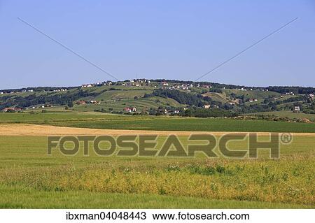 Weinberg, Eisenberg an der Pinka, Sudburgenland, Burgenland, Osterreich, Europa View Large Photo Image Stock Image - Weinberg, Eisenberg an der Pinka, Sudburgenland, Burgenland, Osterreich, Europa. Fotosearch