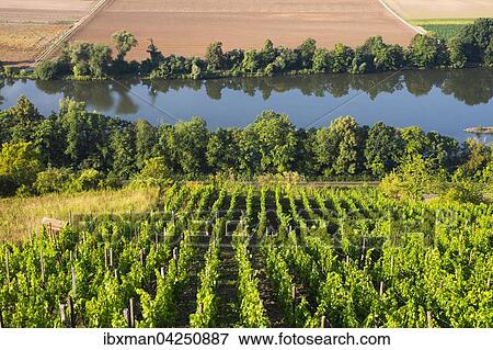 Weinberg Kalbenstein bei Gambach und Main, Gemeinde Karlstadt, Unterfranken, Franken, Bayern, Deutschland, Europa View Large Photo Image Stock Photo - Weinberg Kalbenstein bei Gambach und Main, Gemeinde Karlstadt, Unterfranken, Franken, Bayern, Deutschland, Europa. Fotosearch