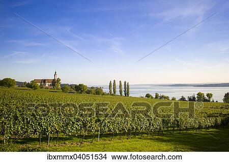 Weinberge am Bodensee, Wallfahrtskirche Birnau, Birnau, Baden-Wurttemberg, Deutschland, Europa View Large Photo Image Picture - Weinberge am Bodensee, Wallfahrtskirche Birnau, Birnau, Baden-Wurttemberg, Deutschland, Europa. Fotosearch