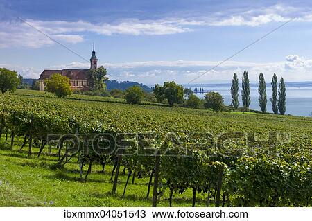 Weinberge am Bodensee, Wallfahrtskirche Birnau, Birnau, Baden-Wurttemberg, Deutschland, Europa View Large Photo Image Stock Image - Weinberge am Bodensee, Wallfahrtskirche Birnau, Birnau, Baden-Wurttemberg, Deutschland, Europa. Fotosearch