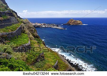 Picture - Weinreben am Steilhang, Westkuste, hinten Hafen Porto Moniz, Madeira, Portugal, Europa. Fotosearch
