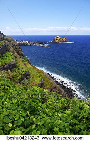 Weinreben am Steilhang, Westkuste, hinten Hafen Porto Moniz, Madeira, Portugal, Europa View Large Photo Image Stock Image - Weinreben am Steilhang, Westkuste, hinten Hafen Porto Moniz, Madeira, Portugal, Europa. Fotosearch