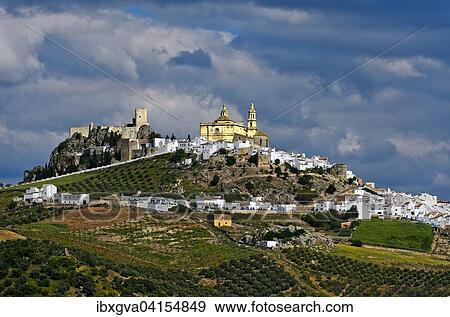 Weisse Stadt, pueblo blanco, mit der Kirche La Encarnacion und einer maurischen Burgruine, Olvera, Provinz Cadiz, Andalusien, Spanien, Europa View Large Photo Image Stock Photo - Weisse Stadt, pueblo blanco, mit der Kirche La Encarnacion und einer maurischen Burgruine, Olvera, Provinz Cadiz, Andalusien, Spanien, Europa. Fotosearch