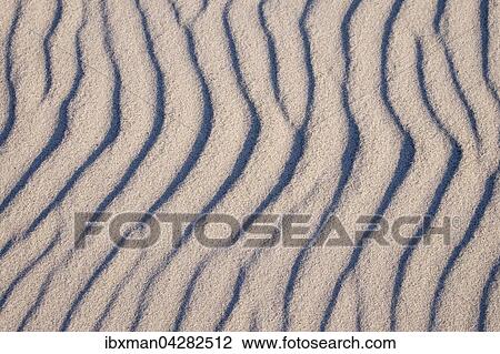 Wellenlinien im Sand, Weststrand an der Ostsee, Born auf dem Darss, Fischland-Darss-Zingst, Nationalpark Vorpommersche Boddenlandschaft, Mecklenburg-Vorpommern, Deutschland, Europa View Large Photo Image Stock Image - Wellenlinien im Sand, Weststrand an der Ostsee, Born auf dem Darss, Fischland-Darss-Zingst, Nationalpark Vorpommersche Boddenlandschaft, Mecklenburg-Vorpommern, Deutschland, Europa. Fotosearch