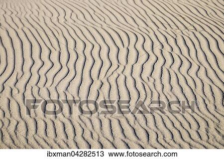 Stock Image - Wellenlinien im Sand, Weststrand an der Ostsee, Born auf dem Darss, Fischland-Darss-Zingst, Nationalpark Vorpommersche Boddenlandschaft, Mecklenburg-Vorpommern, Deutschland, Europa. Fotosearch