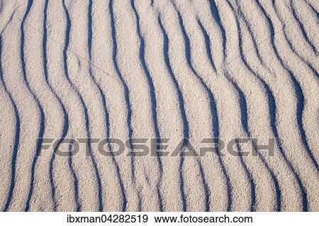 Wellenlinien im Sand, Weststrand an der Ostsee, Born auf dem Darss, Fischland-Darss-Zingst, Nationalpark Vorpommersche Boddenlandschaft, Mecklenburg-Vorpommern, Deutschland, Europa View Large Photo Image Stock Photo - Wellenlinien im Sand, Weststrand an der Ostsee, Born auf dem Darss, Fischland-Darss-Zingst, Nationalpark Vorpommersche Boddenlandschaft, Mecklenburg-Vorpommern, Deutschland, Europa. Fotosearch