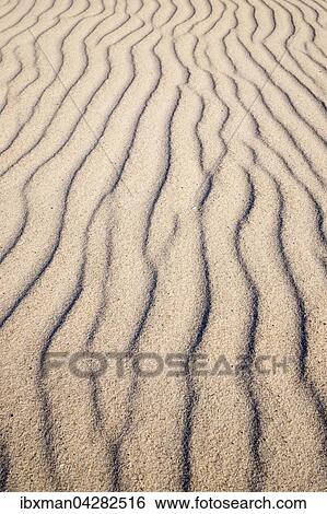 Stock Photograph - Wellenlinien im Sand, Weststrand an der Ostsee, Born auf dem Darss, Fischland-Darss-Zingst, Nationalpark Vorpommersche Boddenlandschaft, Mecklenburg-Vorpommern, Deutschland, Europa. Fotosearch