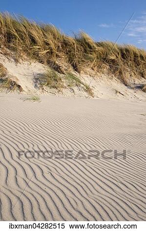Wellenlinien im Sand, Weststrand an der Ostsee, Born auf dem Darss, Fischland-Darss-Zingst, Nationalpark Vorpommersche Boddenlandschaft, Mecklenburg-Vorpommern, Deutschland, Europa View Large Photo Image Stock Photography - Wellenlinien im Sand, Weststrand an der Ostsee, Born auf dem Darss, Fischland-Darss-Zingst, Nationalpark Vorpommersche Boddenlandschaft, Mecklenburg-Vorpommern, Deutschland, Europa. Fotosearch