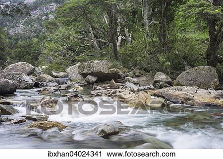 Wildbach, Neuquen, Argentinien, Sudamerika View Large Photo Image Stock Image - Wildbach, Neuquen, Argentinien, Sudamerika. Fotosearch