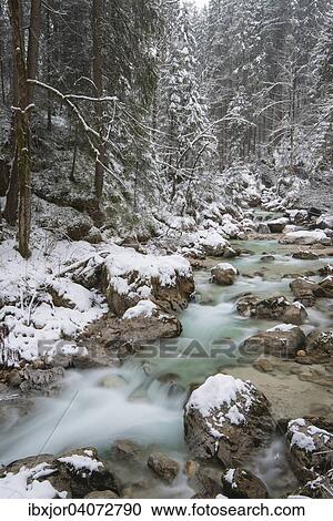 Stock Image - Winter in der Ramsauer Ache im Zauberwald, Nationalpark Berchtesgaden, Ramsau, Berchtesgadener Land, Oberbayern, Bayern, Deutschland, Europa. Fotosearch
