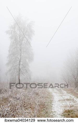 Winterlandschaft, Hessen, Deutschland, Europa View Large Photo Image Stock Photo - Winterlandschaft, Hessen, Deutschland, Europa. Fotosearch