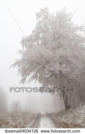 Winterlandschaft, Hessen, Deutschland, Europa View Large Photo Image Stock Photograph - Winterlandschaft, Hessen, Deutschland, Europa. Fotosearch