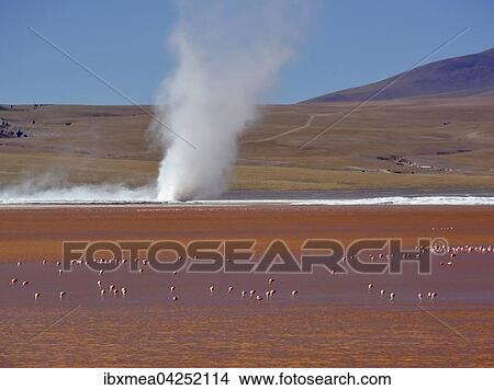 Wirbelsturm von Sedimenten aus Borax an einem See mit Flamingos (Phoenicopterus sp. ) in rotem Wasser, Laguna Colorada, bei Uyuni, Lipez, Bolivien, Sudamerika View Large Photo Image Picture - Wirbelsturm von Sedimenten aus Borax an einem See mit Flamingos (Phoenicopterus sp. ) in rotem Wasser, Laguna Colorada, bei Uyuni, Lipez, Bolivien, Sudamerika. Fotosearch