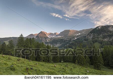Wurzeralm bei Sonnenaufgang, Berg Warscheneck, Region Pyhrn-Priel, auch Pyhrn-Eisenwurzen, Traunviertel, Oberosterreich, Osterreich, Europa View Large Photo Image Stock Photography - Wurzeralm bei Sonnenaufgang, Berg Warscheneck, Region Pyhrn-Priel, auch Pyhrn-Eisenwurzen, Traunviertel, Oberosterreich, Osterreich, Europa. Fotosearch