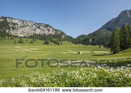 Wurzeralm, Region Pyhrn-Priel, auch Pyhrn-Eisenwurzen, Traunviertel, Oberosterreich, Osterreich, Europa View Large Photo Image Stock Photo - Wurzeralm, Region Pyhrn-Priel, auch Pyhrn-Eisenwurzen, Traunviertel, Oberosterreich, Osterreich, Europa. Fotosearch