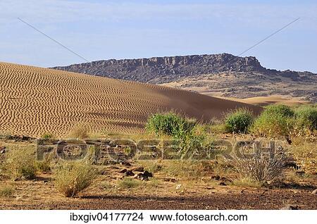 Picture - Wustenlandschaft mit Sanddune und felsigem Hugel, Strecke Atar nach Tidjikja, Region Adrar, Mauretanien, Afrika. Fotosearch