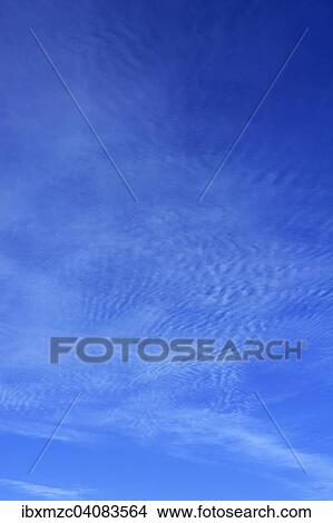 Zirruswolken, Cirrus floccusam, am blauen Himmel View Large Photo Image Picture - Zirruswolken, Cirrus floccusam, am blauen Himmel. Fotosearch