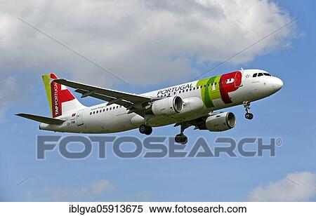 A on approach to Geneva Airport, SwitzerlandAirbus A320-214 of the airline TAP Air Portugal View Large Photo Image Stock Photography - A on approach to Geneva Airport, SwitzerlandAirbus A320-214 of the airline TAP Air Portugal. Fotosearch