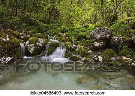 Stock Image - A small mountain stream flows into the river Lepena, Lepenatal, Slovenia, Europe. Fotosearch