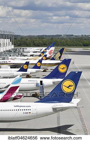 Stock Photograph - Aircraft of various airlines, Lufthansa, Eurowings, Singapore Airlines, Air China, United Airlines docked at Terminal 2, Apron East, Terminal 2, Munich Airport, Germany, Europe. Fotosearch