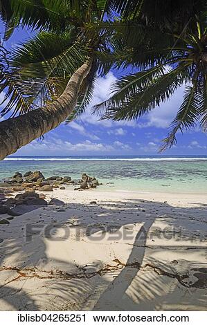 Stock Image - Anse Baleine palm beach, Mahe IInsel, Seychelles, Africa. Fotosearch