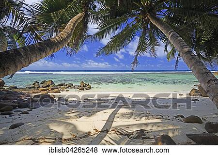 Anse Baleine palm beach, Mahe Island, Seychelles, Africa View Large Photo Image Stock Photo - Anse Baleine palm beach, Mahe Island, Seychelles, Africa. Fotosearch