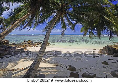 Anse Baleine palm beach, Mahe Island, Seychelles, Africa View Large Photo Image Stock Photo - Anse Baleine palm beach, Mahe Island, Seychelles, Africa. Fotosearch